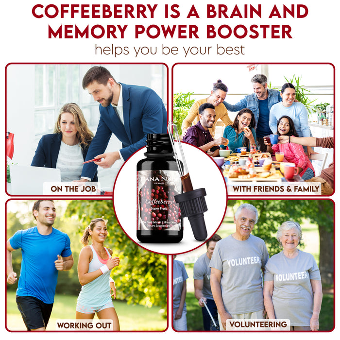 Extracto de fruta de café 100 % puro, superalimento antioxidante para el cerebro (sin OGM 30ml)